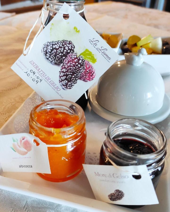 La Luma Hotel Montecosaro  Zewnętrze zdjęcie